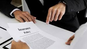 How to Read an Insurance Policy (Without the Jargon)